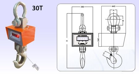 Crane Scales (5kg to 30ton)