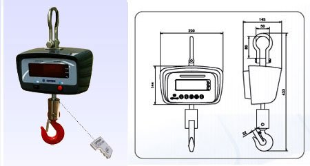 Crane Scales