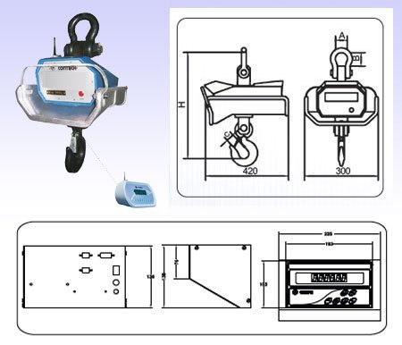 Crane Scales with Heat Insulating Shield & Wireless Indicator (CCS) (200g to 15ton)