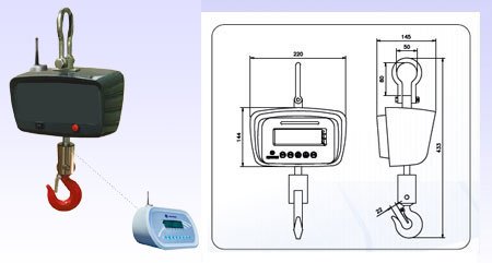 Crane Scales with Wireless Indicator (100g to 1ton)