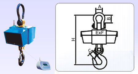Crane Scales (10kg to 50ton)