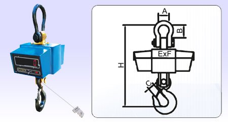 Crane Scales (10kg to 50 ton)